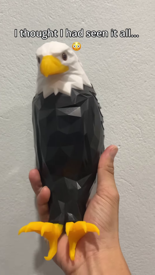 3D Eagle Wall Lamp – Majestic Shadow Light Fixture for Home Decor - Image 4